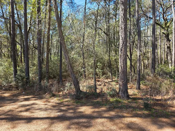 LOT 20 Hackberry Dr, Plantersville, TX 77363