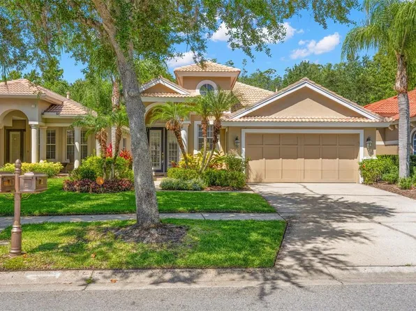 14644 Mirasol Manor Ct, Tampa, FL 33626