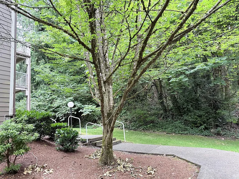 206 Mountain Park Blvd SW #D201 — Photo 46