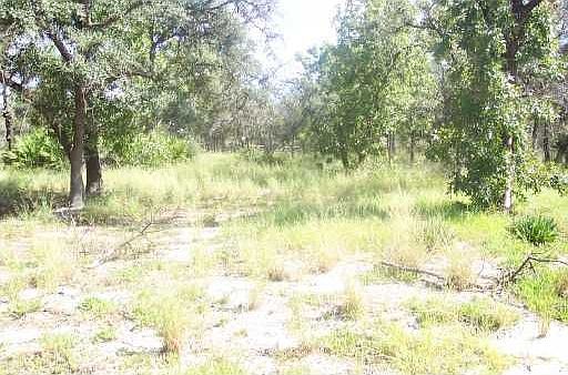 OAK RIDGE DRIVE