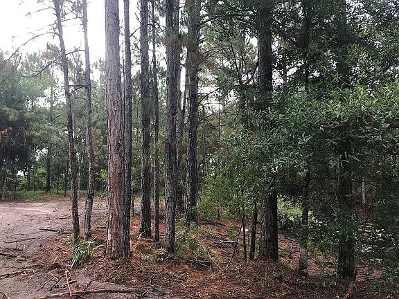 5th image of 235 Buckskin Ln