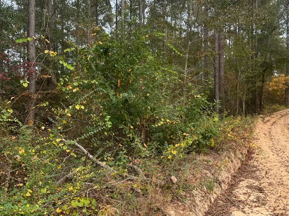 Ebh A2 Wagener Rd, Wagener, SC 29164