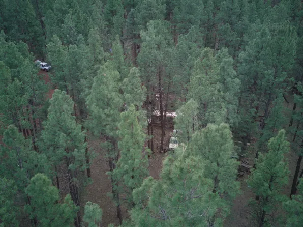 7350 E Jolly Rogue Ln, Williams, AZ 86046