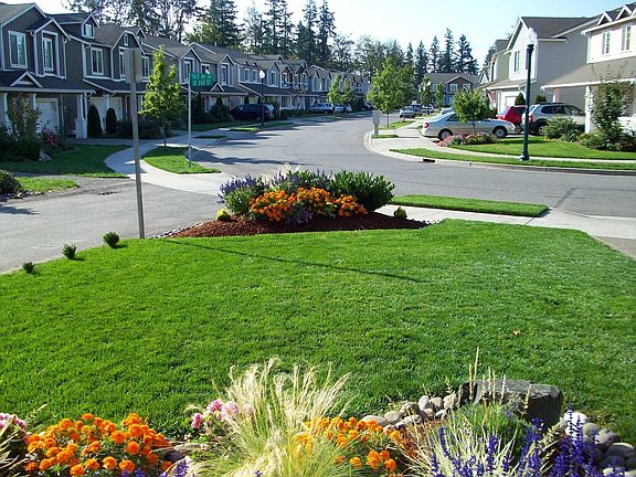 View from front porch