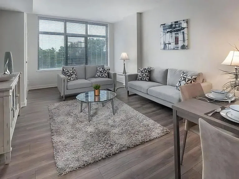 Apartment Living Area Featuring Seating and Dining Space With Placemats