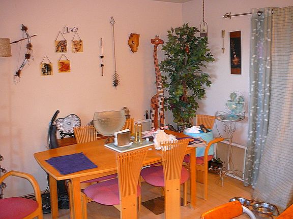 Dinning area