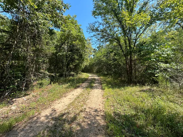 7789 Co Rd T-561, Ava, MO 65608