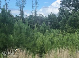 370 Beulah Hwy, Sparta, GA 31087