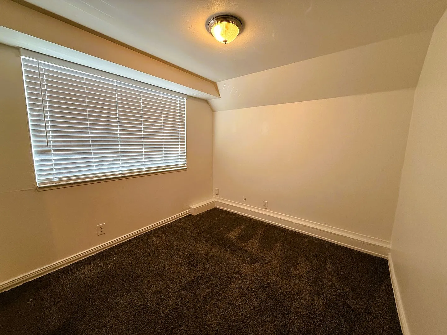 1021 Carolina St — Photo 3
