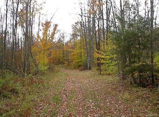 Barnes Rd, Salisbury center, NY 13454