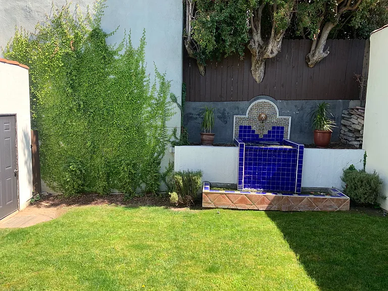 Backyard and fountain