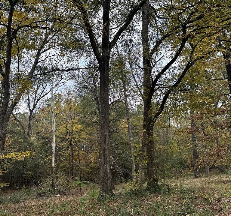 1st image of TRACT 49 Shady Pine St