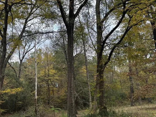 TRACT 49 Shady Pine St, Lufkin, TX 75901