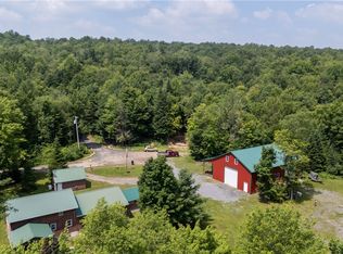 10424 Riggerman Rd, Remsen, NY 13438