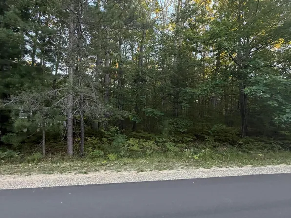 1350 N Saint Helen Rd, Saint Helen, MI 48656