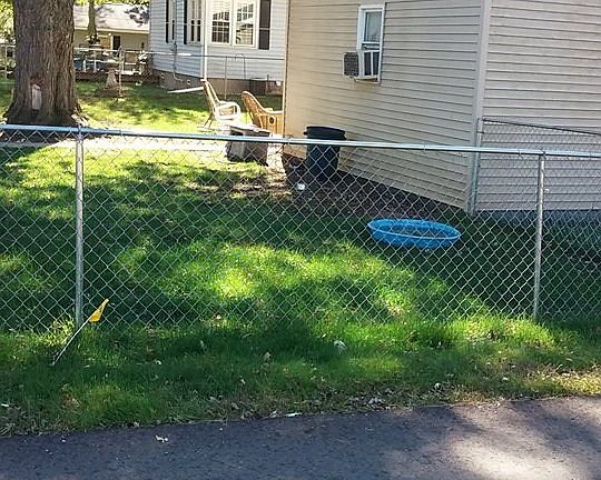 4th image of 130 Kimball Ave