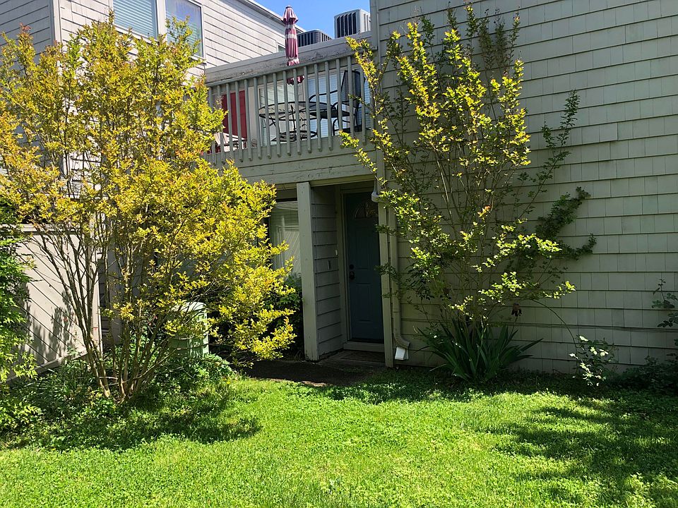 2nd image of 544 Lost Tree Ln