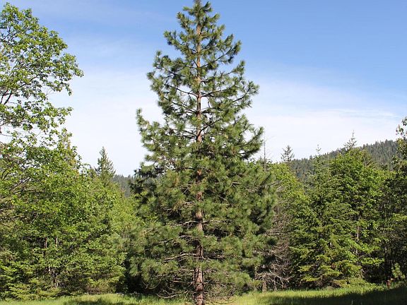 2nd image of 6746 Old Highway 99 S