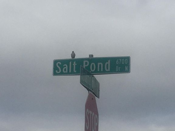 5th image of 6783 N Salt Pond Dr