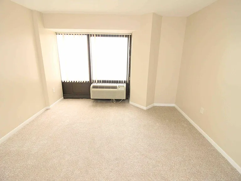 1001 W Jefferson Ave #300/29D — Photo 20