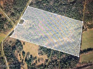 L322 Larry Hill Rd, Delanson, NY 12053