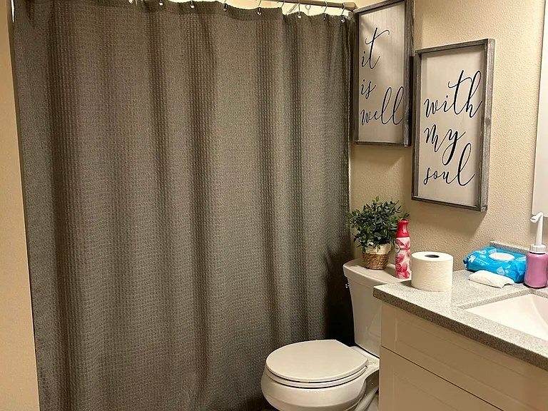 Basement Bathroom