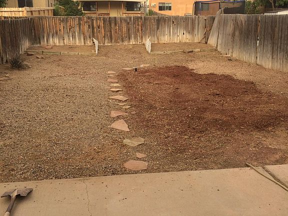 Back yard