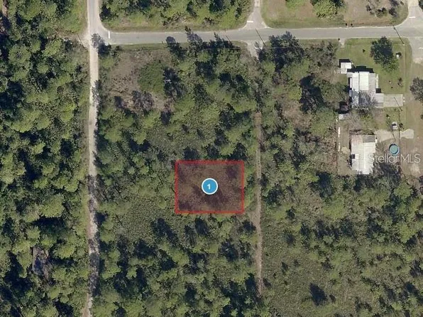 VIRGINIA STREET LOT 8, PAISLEY, FL 32767