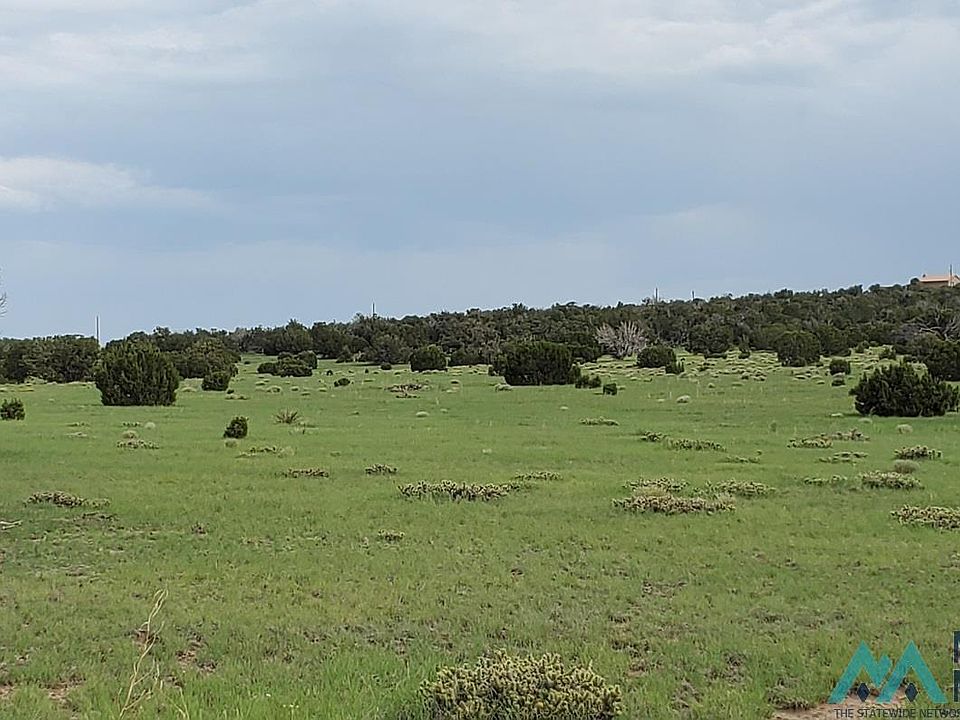 Old Ranch Rd, Quemado, NM 87829 Zillow