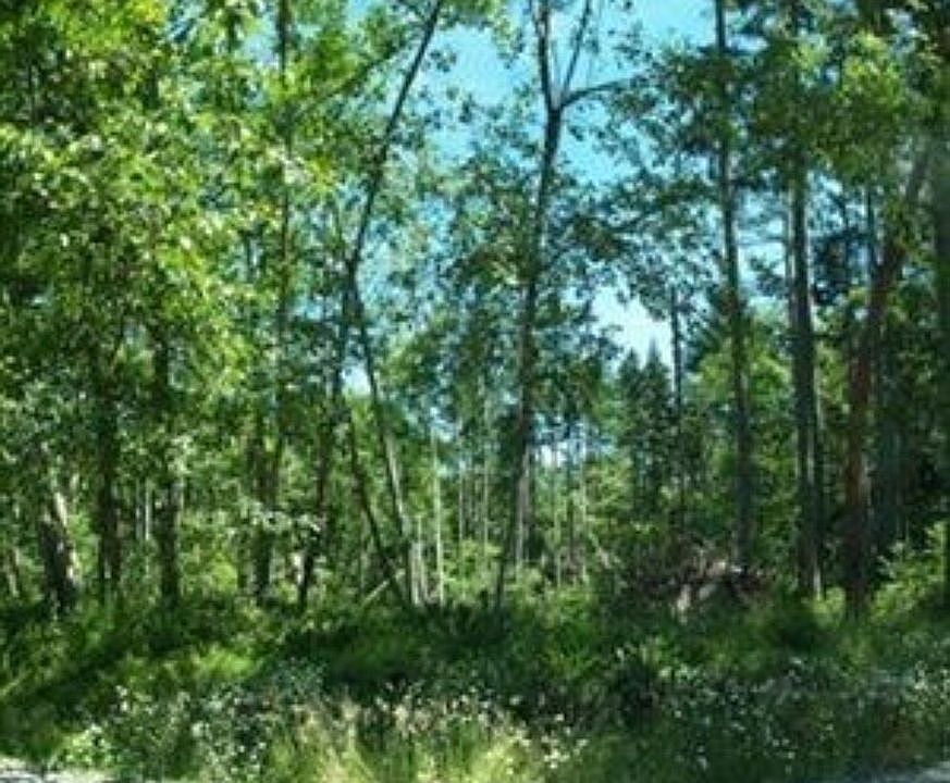 1st image of 12317 Cole Point Dr