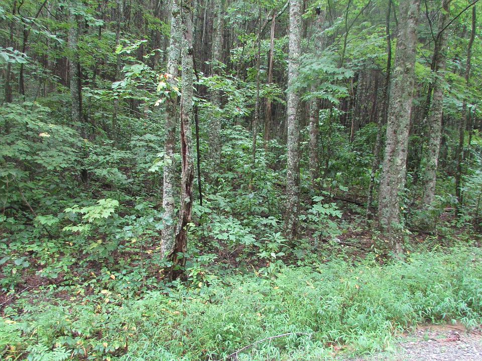 Ivy Log Gap Rd, Young Harris, GA 30582 MLS 328095 Zillow