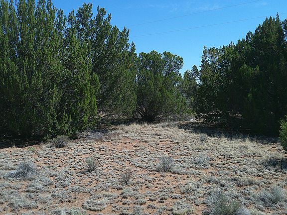 5th image of Concho Hwy Lot 3