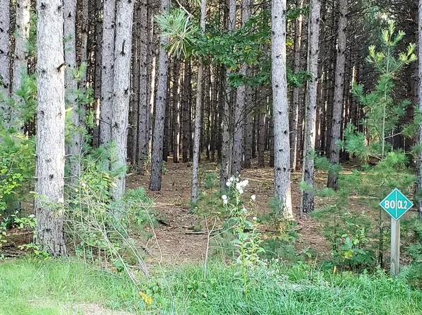 Lot 80 4th Street #80, Nekoosa, WI 54457