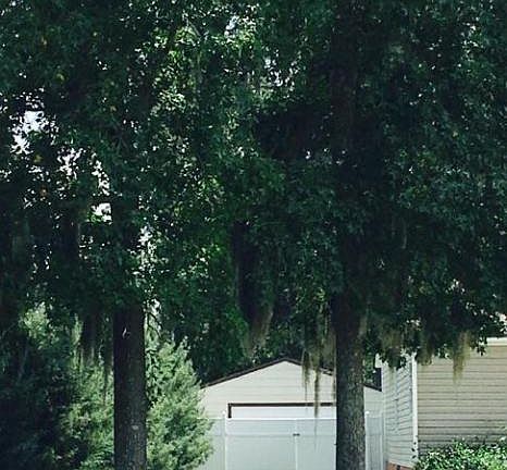 4th image of 11204 Kittrell Ln