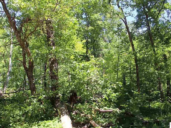 5th image of 0 Webb Creek Dr