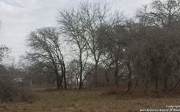 4th image of 101 Bobby Lynn Dr