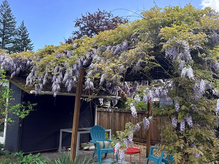 2644 153rd Ave SE — Photo 17