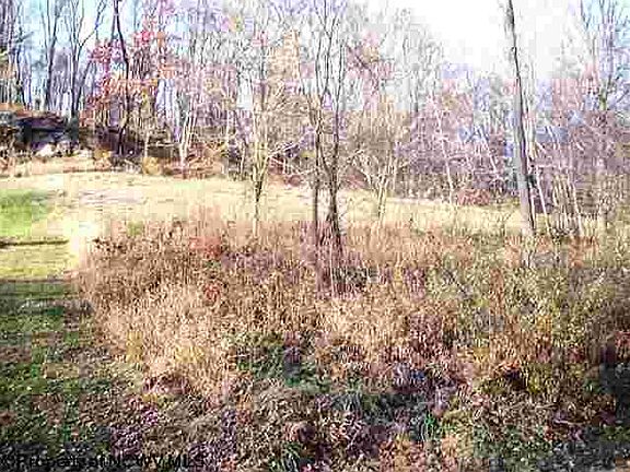 3rd image of 40 Woodland Ter