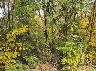 1213 W Park Front St, Joliet, IL 60436