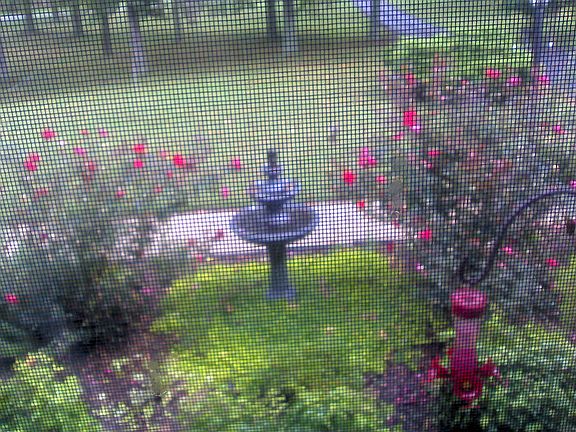 2nd image of 3219 Jenkins Ln