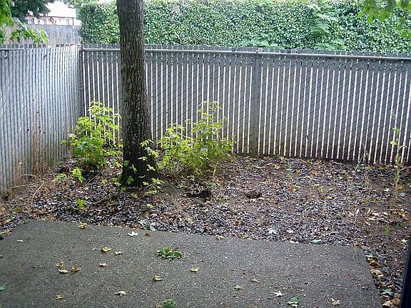 4th image of 3005 St Johns Blvd APT 2