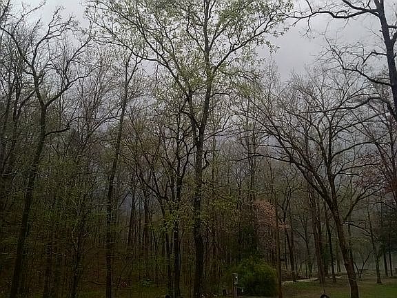 3rd image of 546 Jenkins Rd