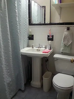 Rented by High Line NYC Realty Group | media 10