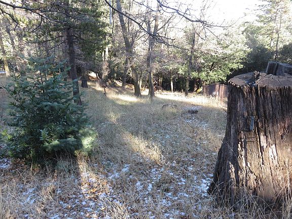 2nd image of Fir St