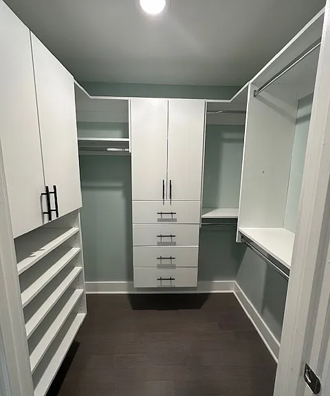 Master bedroom custom closet