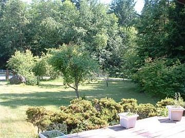Large Front Yard