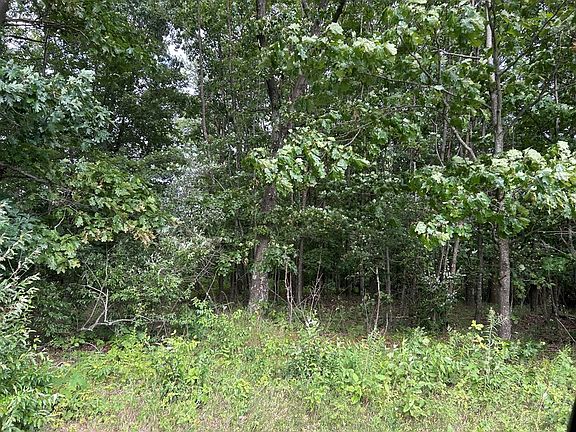 4th image of Holly Hill Rd