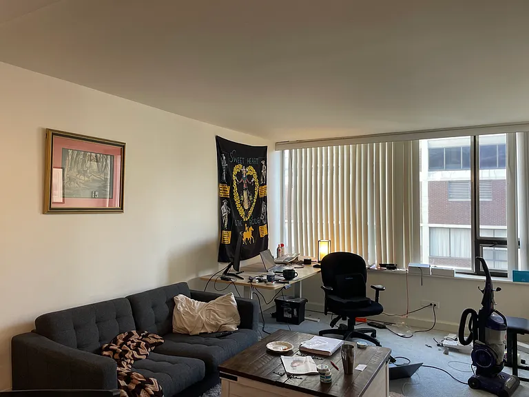 233 E Erie St #2309 — Photo 6