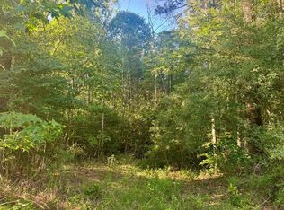 Pid 15463 Co Rd #1039, Burkeville, TX 75932