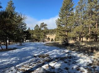 291 Rhyolite Ln, Florissant, CO 80816